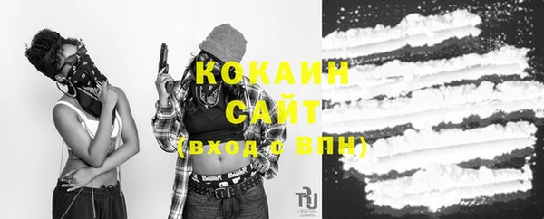 индика Абинск