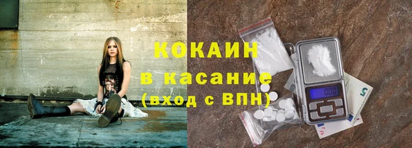 индика Абинск