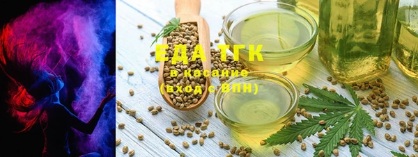 индика Абинск