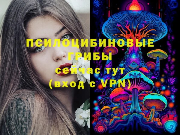 индика Абинск