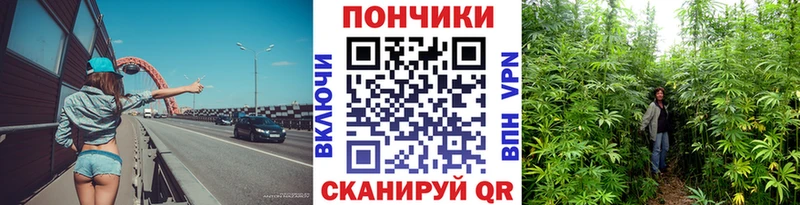 где продают   Хасавюрт  Марихуана марихуана 